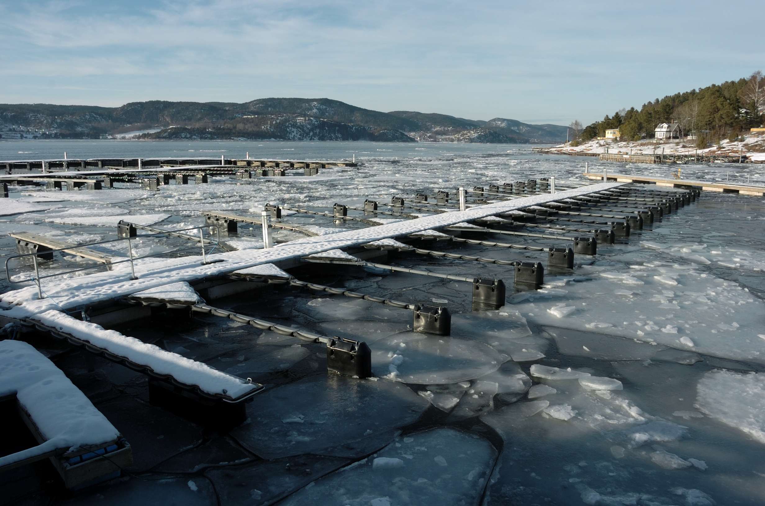 Rdtangen marina vinter 03 - LAV