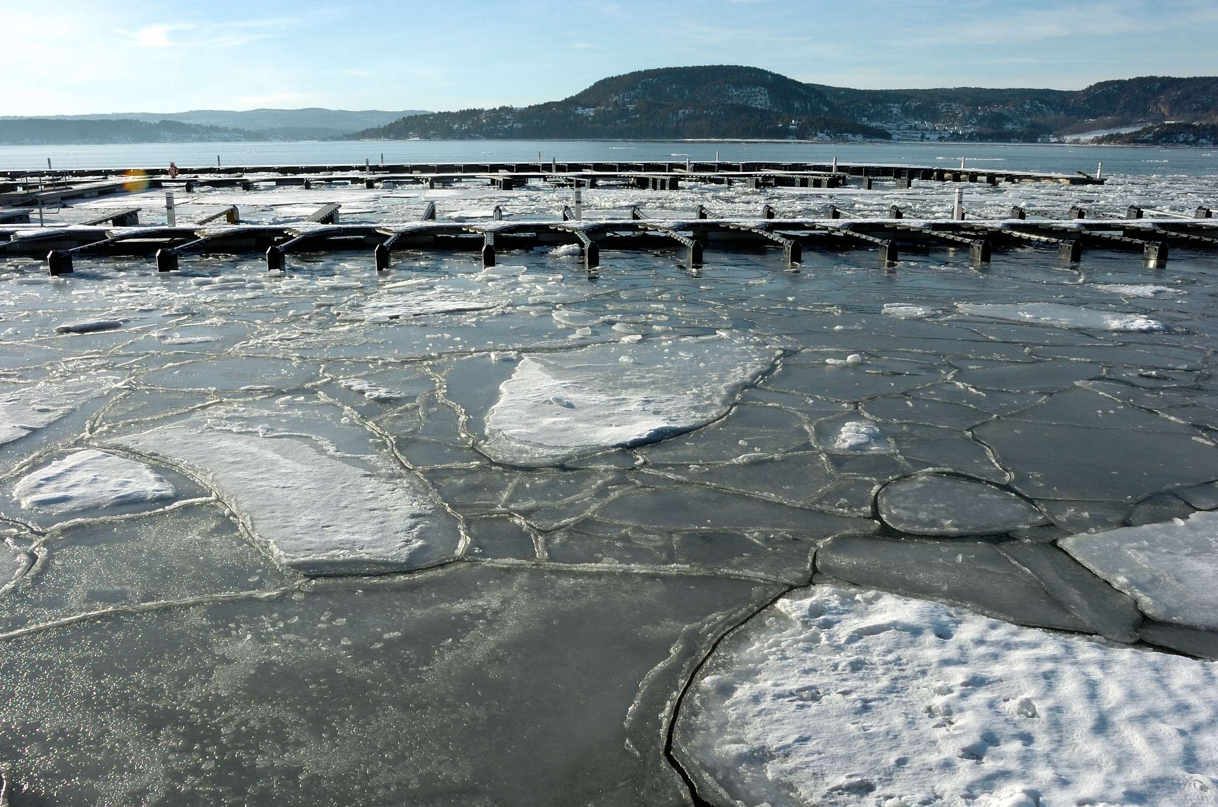 Rdtangen marina vinter 04 - LAV