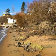 Erosjonen av Sunnestranda har krøpet stadig lenger sydover på stranden. I dag er over halvparten av Sunnestranda rasert.
